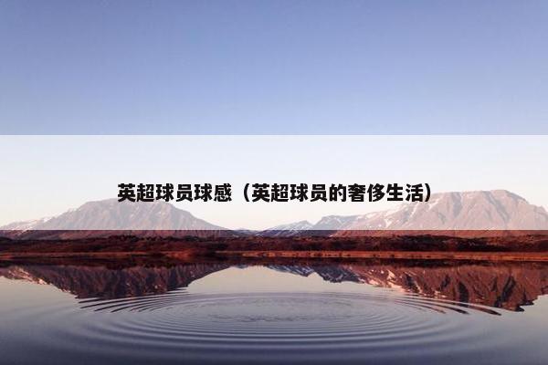 英超球员球感（英超球员的奢侈生活）