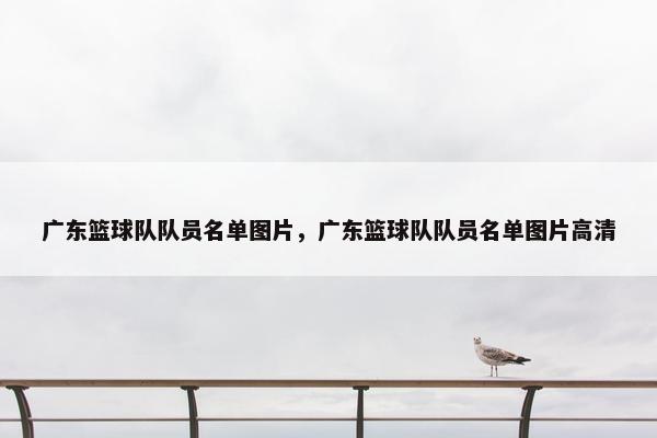 广东篮球队队员名单图片，广东篮球队队员名单图片高清