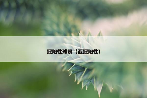 冠阳性球员（亚冠阳性）