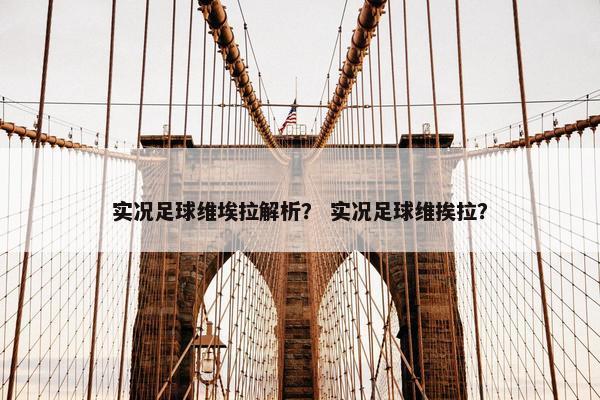 实况足球维埃拉解析？ 实况足球维挨拉？