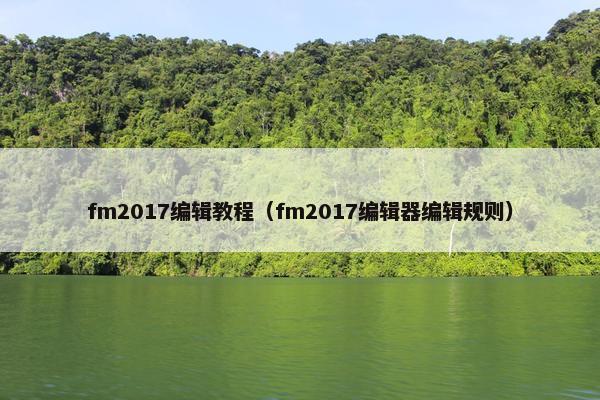 fm2017编辑教程（fm2017编辑器编辑规则）