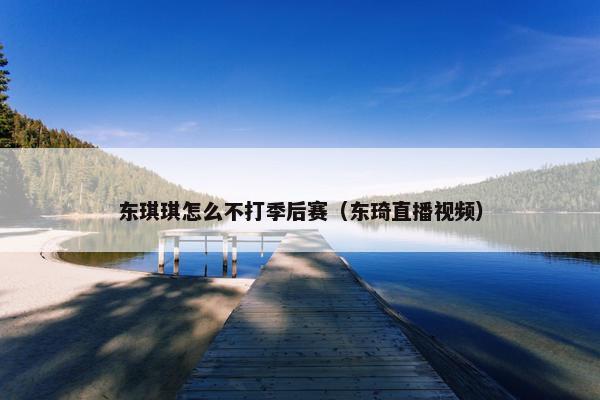 东琪琪怎么不打季后赛（东琦直播视频）