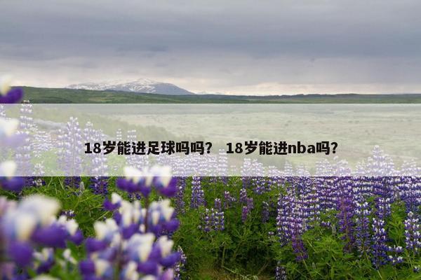 18岁能进足球吗吗？ 18岁能进nba吗？