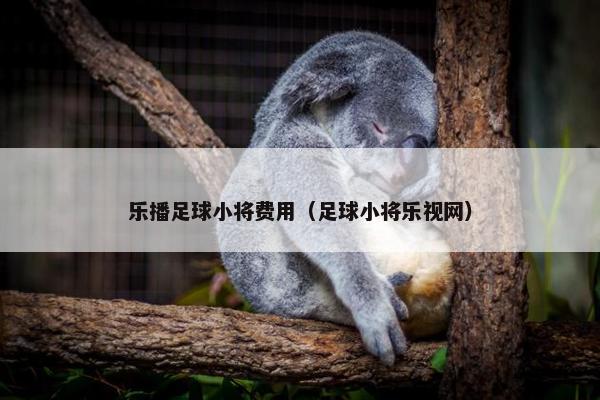 乐播足球小将费用（足球小将乐视网）