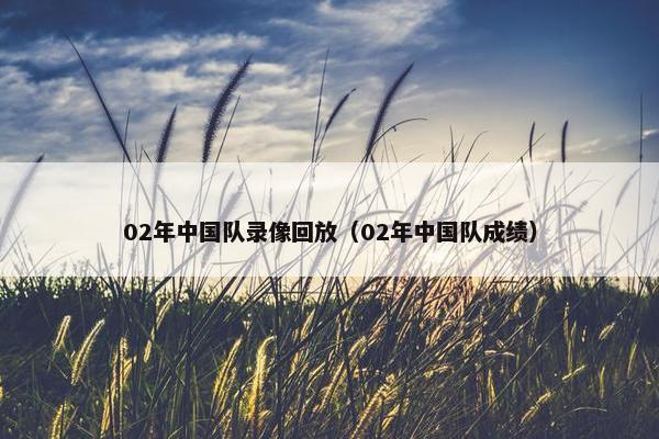 02年中国队录像回放（02年中国队成绩）