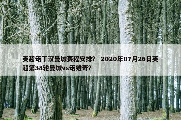 英超诺丁汉曼城赛程安排？ 2020年07月26日英超第38轮曼城vs诺维奇？