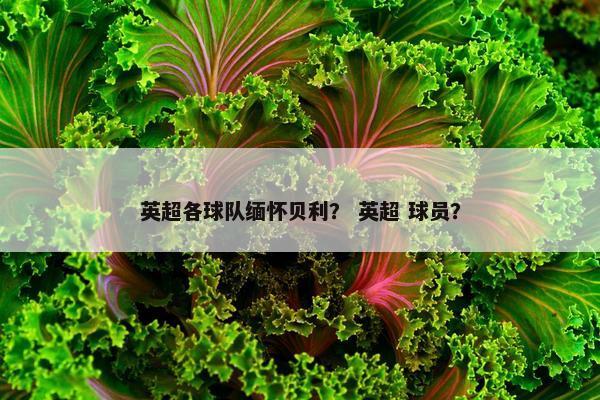 英超各球队缅怀贝利？ 英超 球员？