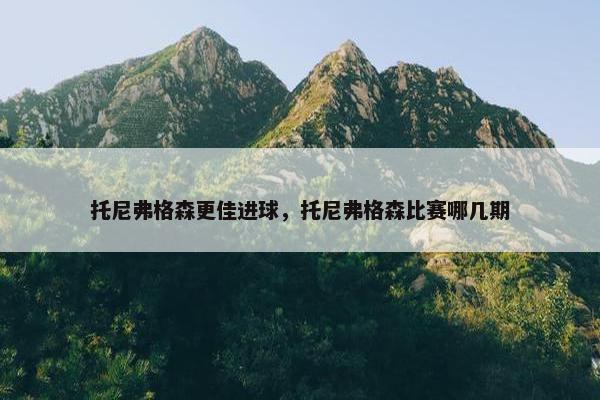 托尼弗格森更佳进球，托尼弗格森比赛哪几期
