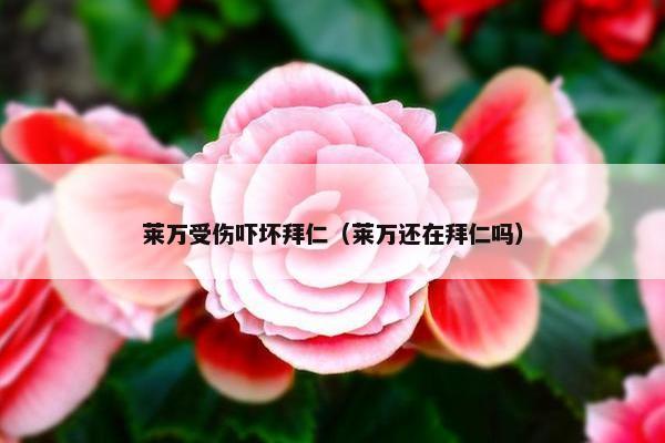 莱万受伤吓坏拜仁（莱万还在拜仁吗）