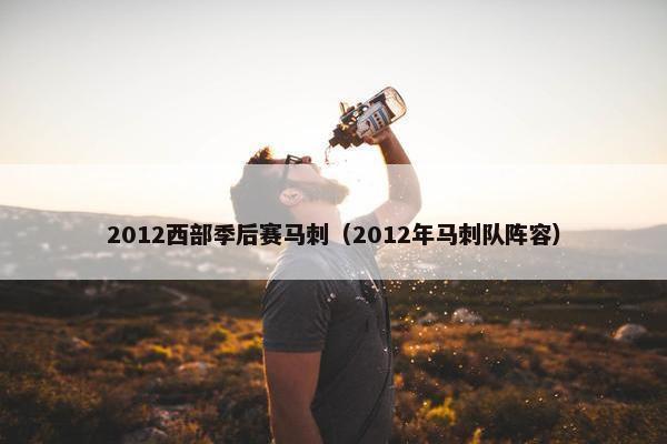 2012西部季后赛马刺（2012年马刺队阵容）