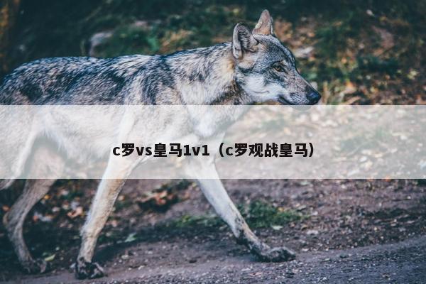 c罗vs皇马1v1（c罗观战皇马）