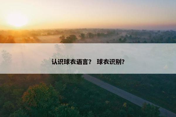 认识球衣语言？ 球衣识别？