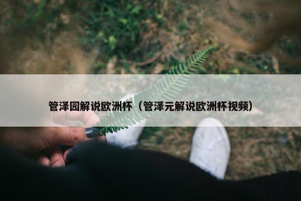 管泽园解说欧洲杯（管泽元解说欧洲杯视频）