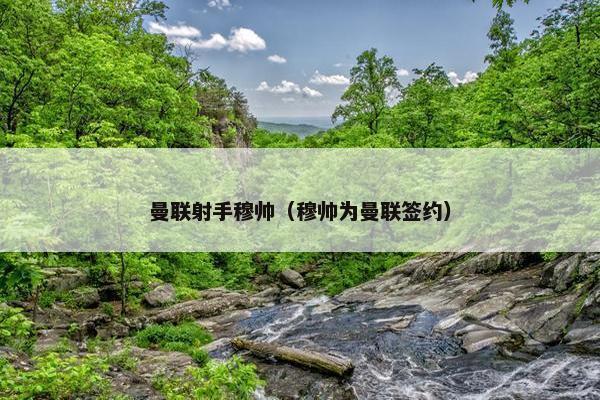 曼联射手穆帅（穆帅为曼联签约）