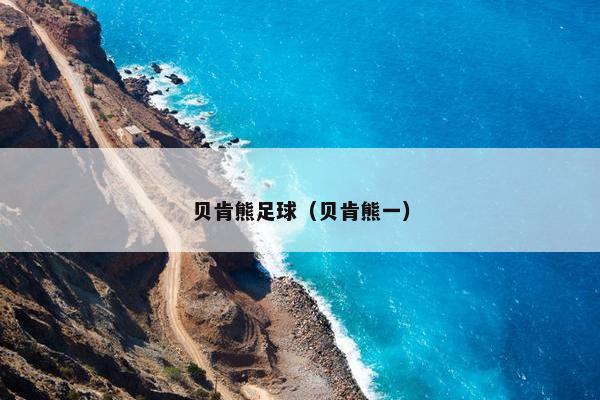 贝肯熊足球（贝肯熊一）