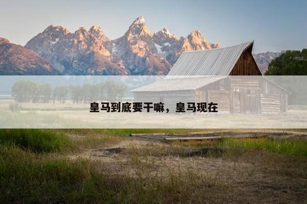 皇马到底要干嘛，皇马现在