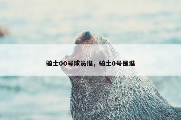 骑士00号球员谁，骑士0号是谁