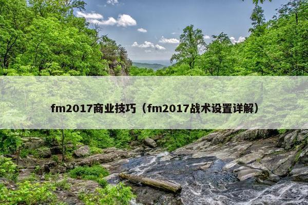 fm2017商业技巧（fm2017战术设置详解）