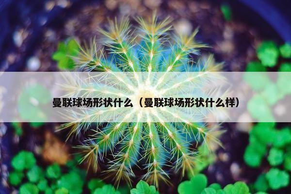 曼联球场形状什么（曼联球场形状什么样）