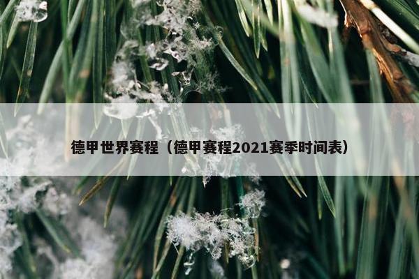 德甲世界赛程（德甲赛程2021赛季时间表）