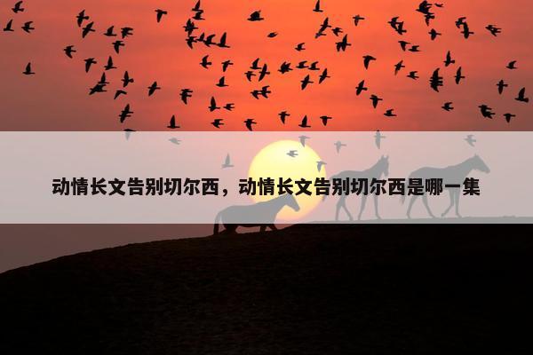 动情长文告别切尔西，动情长文告别切尔西是哪一集