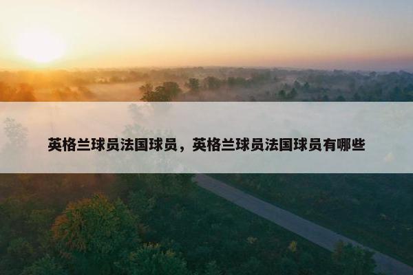 英格兰球员法国球员，英格兰球员法国球员有哪些