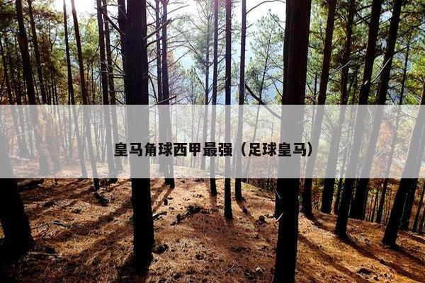 皇马角球西甲最强（足球皇马）