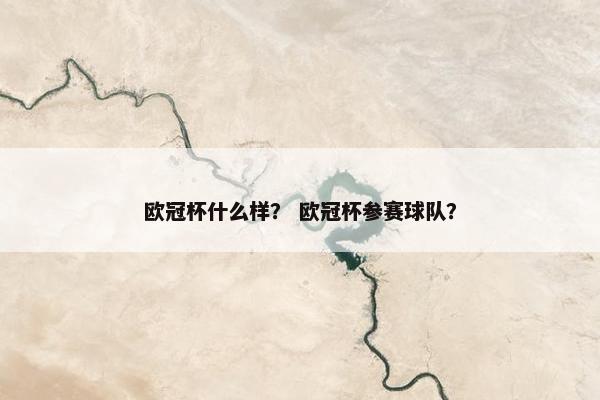 欧冠杯什么样？ 欧冠杯参赛球队？