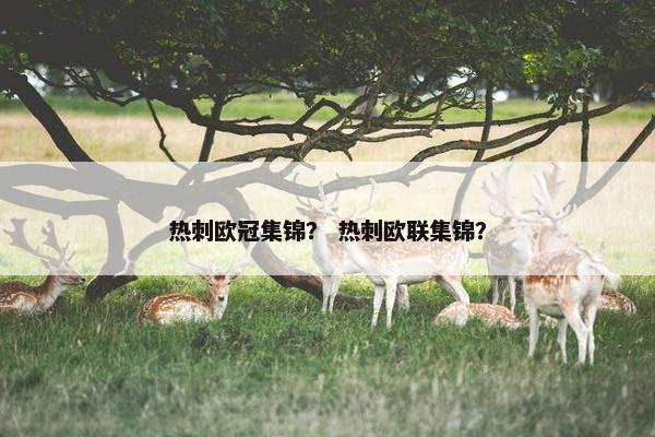 热刺欧冠集锦？ 热刺欧联集锦？