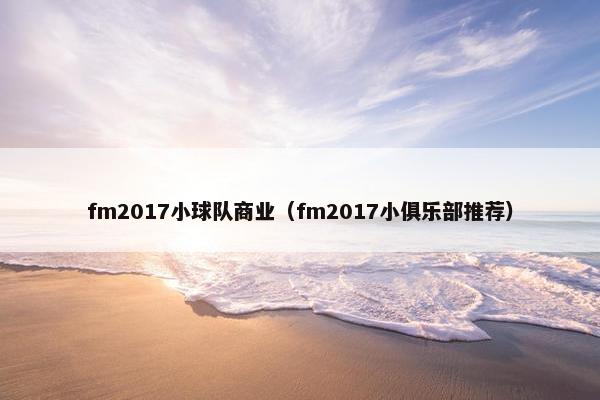 fm2017小球队商业（fm2017小俱乐部推荐）