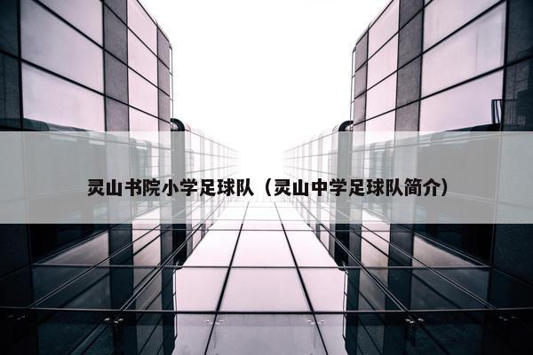 灵山书院小学足球队（灵山中学足球队简介）