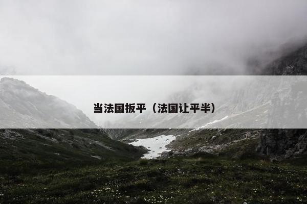 当法国扳平（法国让平半）