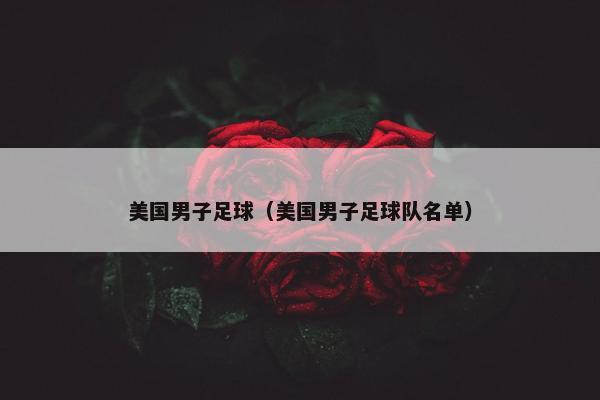 美国男子足球（美国男子足球队名单）