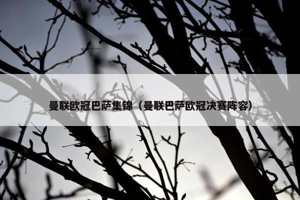 曼联欧冠巴萨集锦（曼联巴萨欧冠决赛阵容）