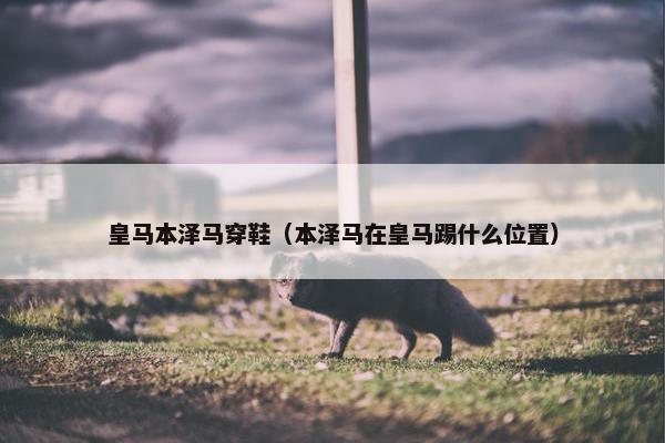 皇马本泽马穿鞋（本泽马在皇马踢什么位置）