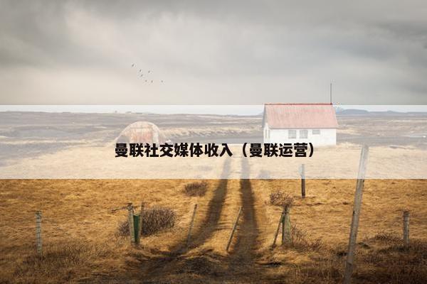 曼联社交媒体收入（曼联运营）