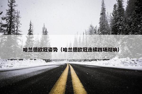 哈兰德欧冠姿势（哈兰德欧冠连续四场双响）