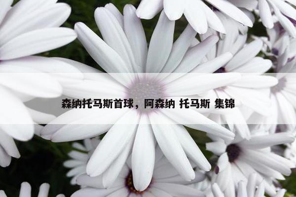 森纳托马斯首球，阿森纳 托马斯 集锦