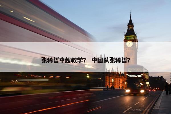 张稀哲中超教学？ 中国队张稀哲？
