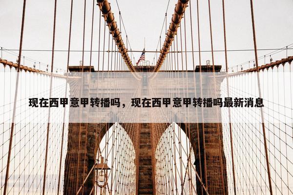 现在西甲意甲转播吗，现在西甲意甲转播吗最新消息