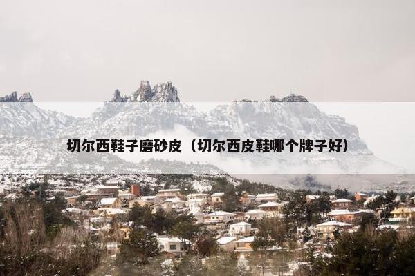 切尔西鞋子磨砂皮（切尔西皮鞋哪个牌子好）