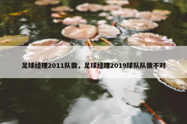足球经理2011队徽，足球经理2019球队队徽不对