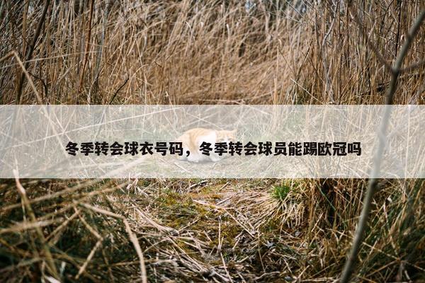 冬季转会球衣号码，冬季转会球员能踢欧冠吗