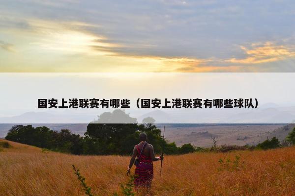 国安上港联赛有哪些（国安上港联赛有哪些球队）
