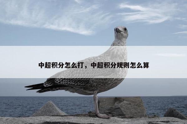 中超积分怎么打，中超积分规则怎么算