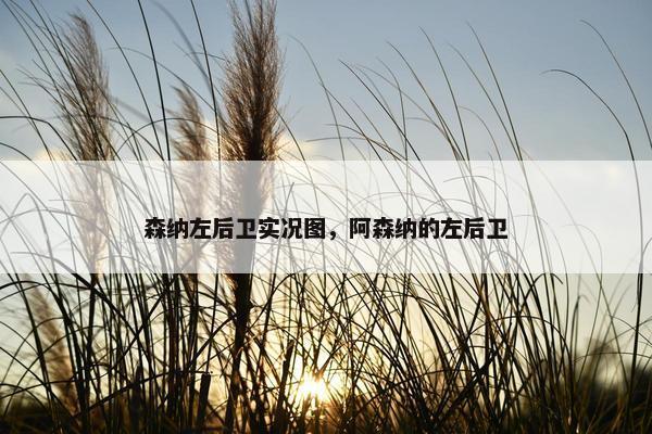 森纳左后卫实况图，阿森纳的左后卫