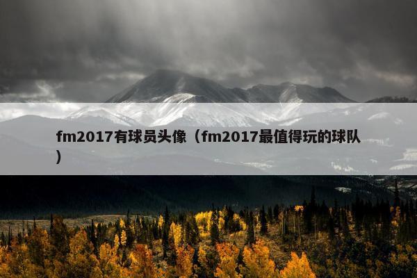 fm2017有球员头像（fm2017最值得玩的球队）