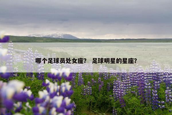 哪个足球员处女座？ 足球明星的星座？
