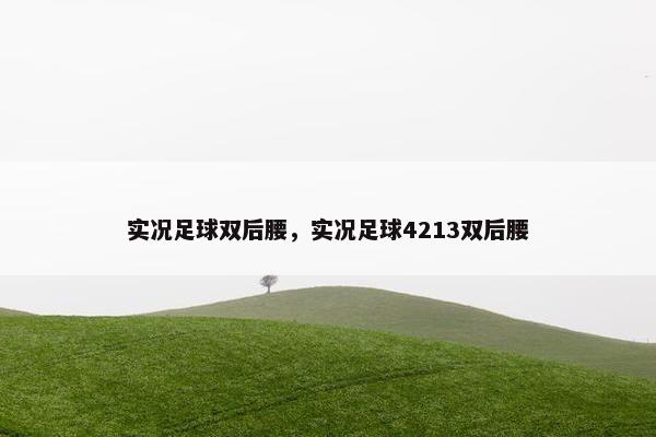 实况足球双后腰，实况足球4213双后腰