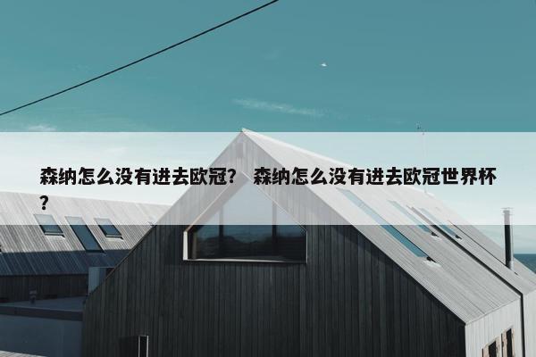 森纳怎么没有进去欧冠？ 森纳怎么没有进去欧冠世界杯？